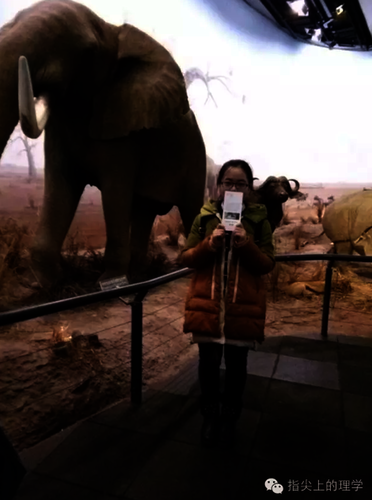 QQ图片20200511002401